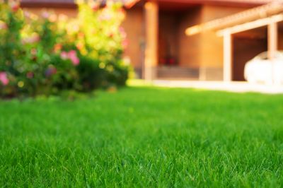 Brick Landscaping Service detail